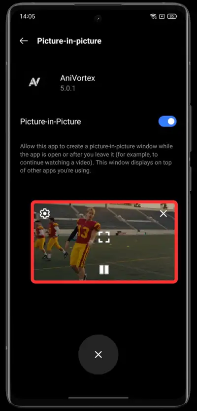AniVortex App (Official) Download For Android & TV 2026 8 Use PIP Mode